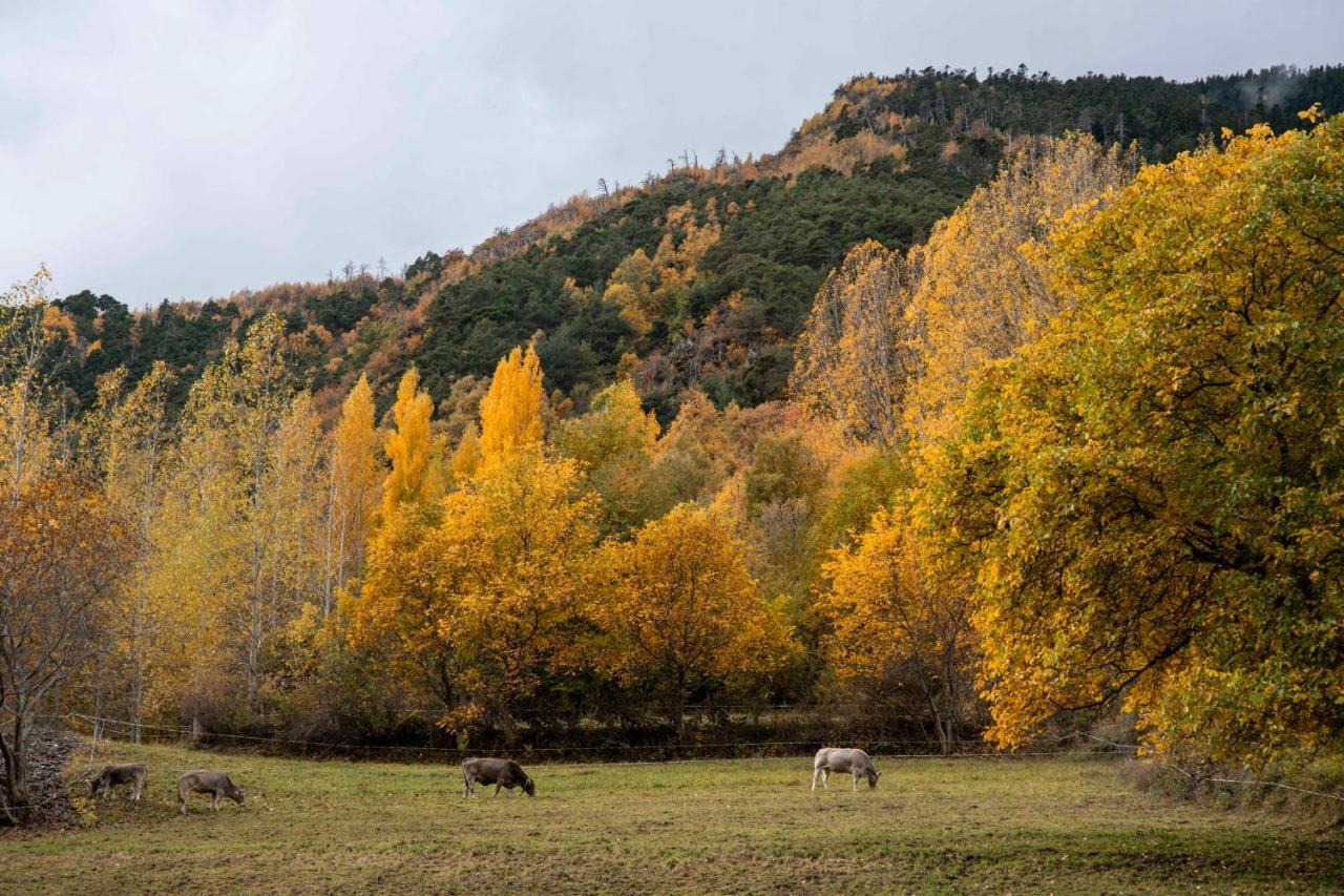 Casa Rural Besoli Areu Экстерьер фото